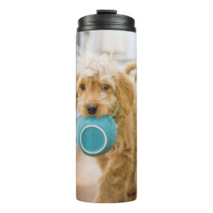 Goldendoodle Carrying Dinner Bowl Thermal Tumbler