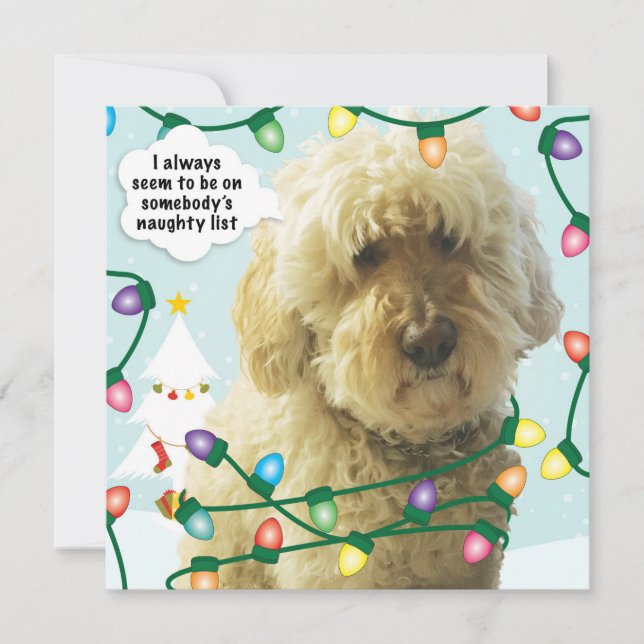 Goldendoodle Christmas, Doodle Fun Card (Front)