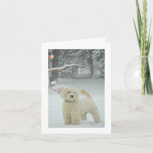 Goldendoodle Christmas Holiday Card