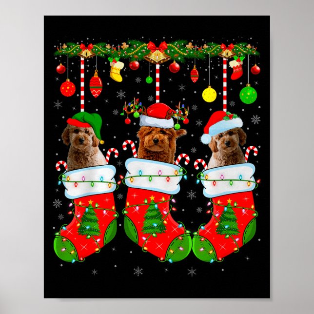 Goldendoodle Dog In Christmas Socks Funny Pet Dog  Poster (Front)