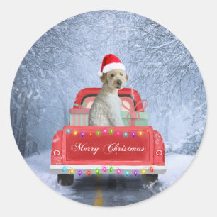 Goldendoodle Dog in Snow sitting in Christmas Classic Round Sticker
