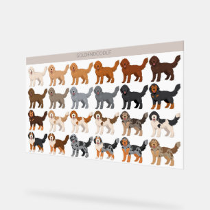 Goldendoodle dog mix acrylic sign