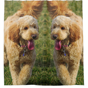 Goldendoodle Dog Photo Shower Curtain
