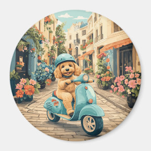 Goldendoodle Dog Riding Scooter European Streets Magnet