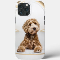 Goldendoodle Golden Background Photo Collage