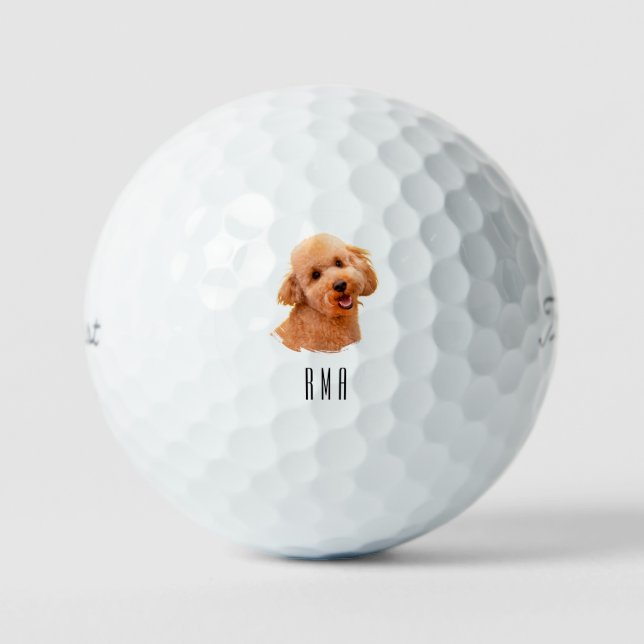Goldendoodle Golden Doodle Golf Balls (Front)