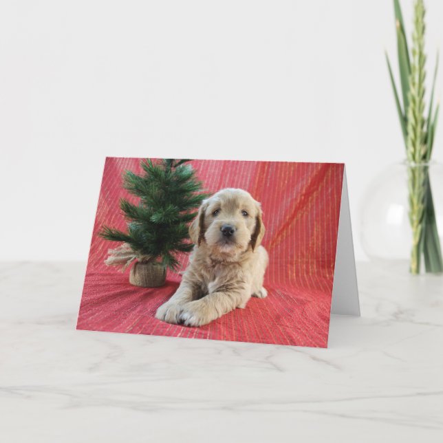 Goldendoodle Holiday Card (Front)