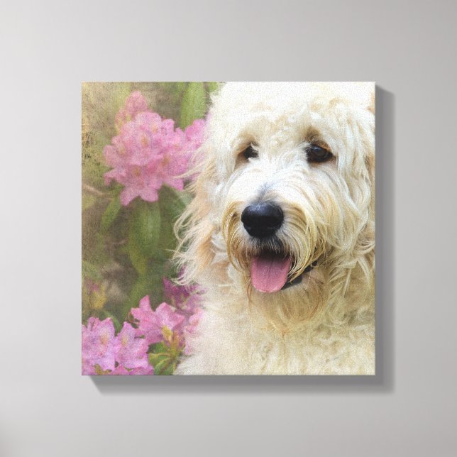 goldendoodle in hydrangea canvas print (Front)