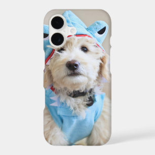 Goldendoodle In Shark Costume