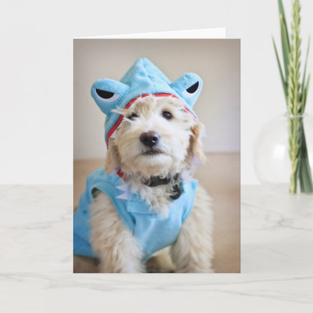 Goldendoodle In Shark Costume Card (Front)