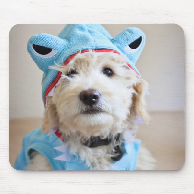 Goldendoodle In Shark Costume Mouse Pad (Front)