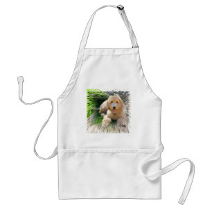 Goldendoodle Labradoodle Standard Apron