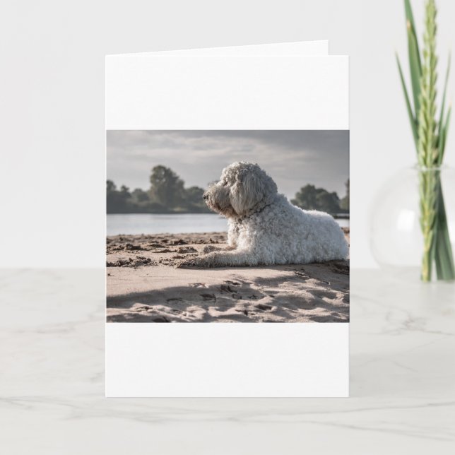 goldendoodle on beach card (Front)