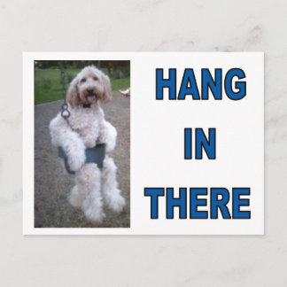 GOLDENDOODLE POSTCARD