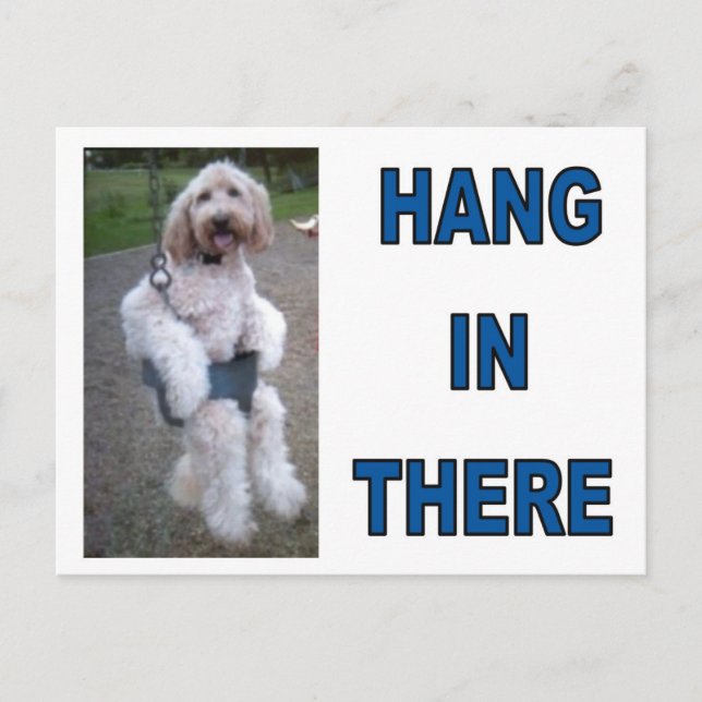 GOLDENDOODLE POSTCARD (Front)