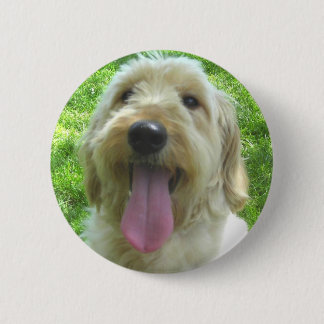 Goldendoodle Products 6 Cm Round Badge