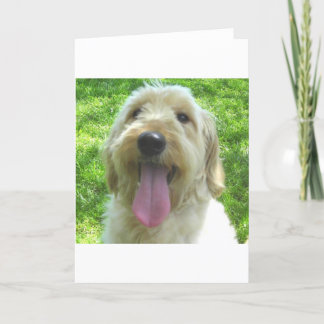 Goldendoodle Products Card