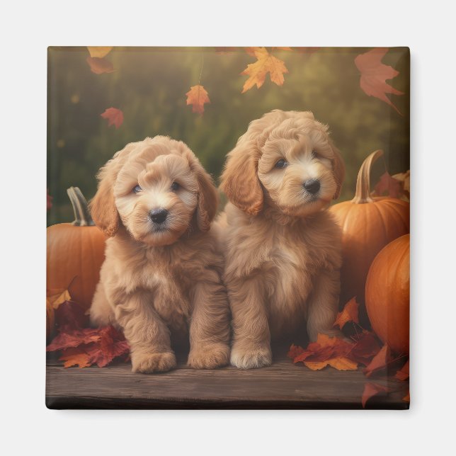 Goldendoodle Puppy Autumn Delight Pumpkin  Magnet (Front)