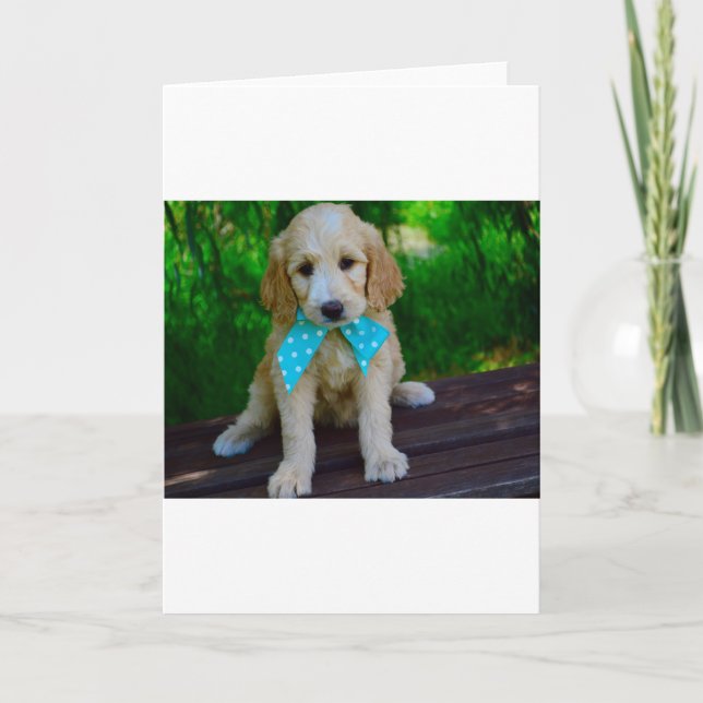 goldendoodle puppy card (Front)