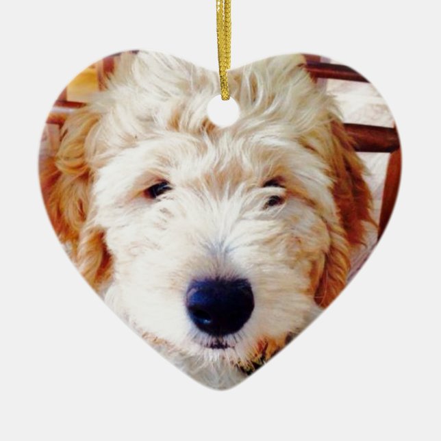 Goldendoodle Puppy Ceramic Ornament (Front)