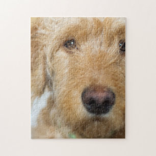 Goldendoodle Puppy Closeup Jigsaw Puzzle
