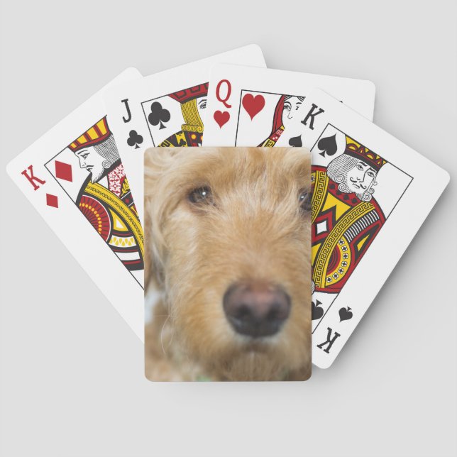 Goldendoodle Puppy Closeup Playing Cards (Back)
