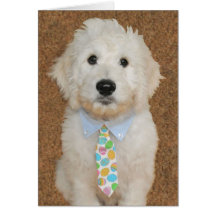 Goldendoodle puppy Easter card