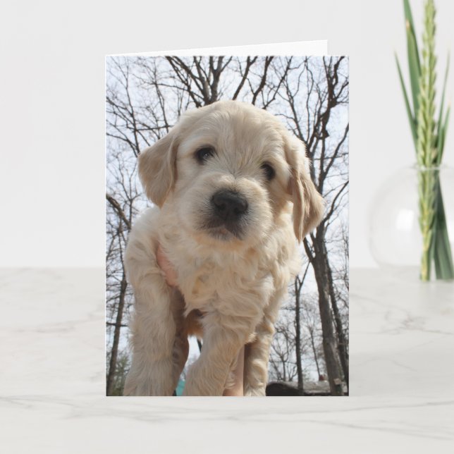 Goldendoodle Puppy Greeting Card (Front)
