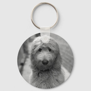 Goldendoodle Puppy In Backyard Key Ring