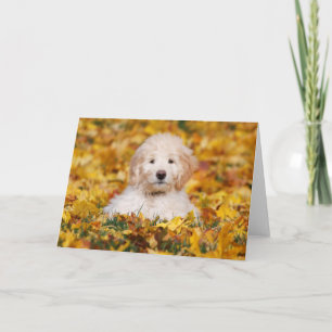 Goldendoodle Puppy In Fall Leaves Card