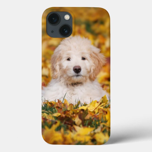 Goldendoodle Puppy In Fall Leaves Case-Mate iPhone Case (Back)