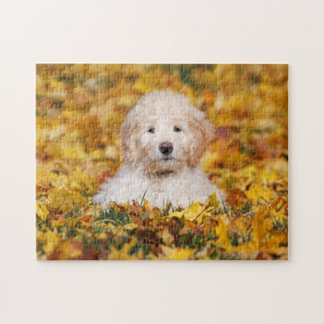 Goldendoodle Puppy In Fall Leaves Jigsaw Puzzle (Horizontal)