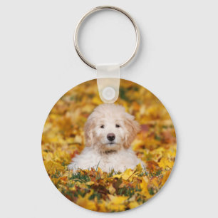 Goldendoodle Puppy In Fall Leaves Key Ring