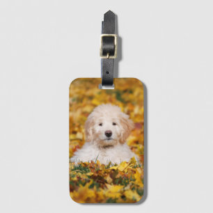 Goldendoodle Puppy In Fall Leaves Luggage Tag