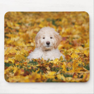 Goldendoodle Puppy In Fall Leaves Mouse Pad