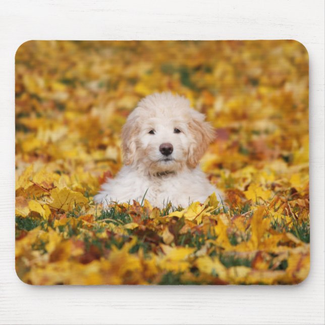 Goldendoodle Puppy In Fall Leaves Mouse Pad (Front)