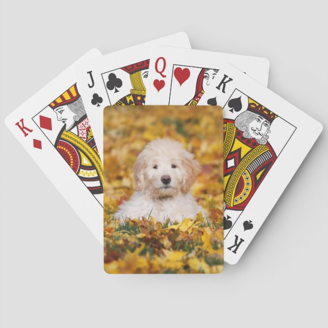 Goldendoodle Puppy In Fall Leaves Playing Cards (Back)