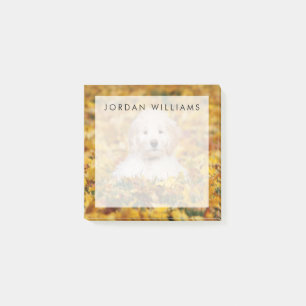 Goldendoodle Puppy In Fall Leaves Post-it Notes