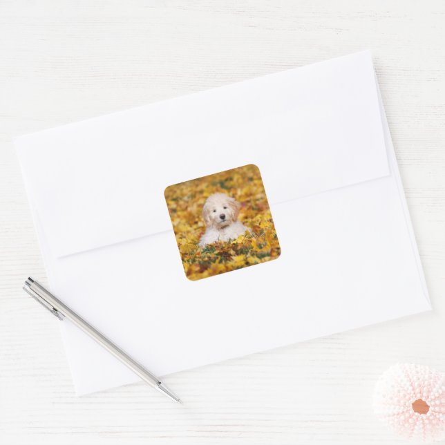 Goldendoodle Puppy In Fall Leaves Square Sticker (Envelope)