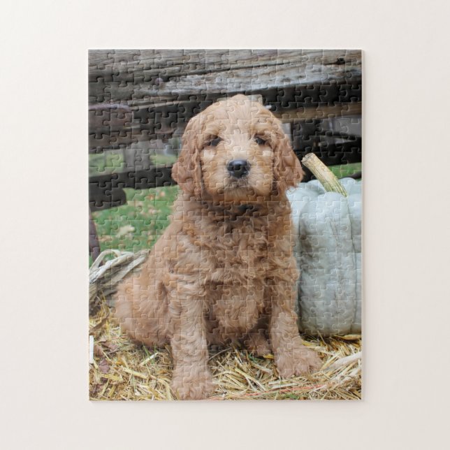 Goldendoodle Puppy Jigsaw Puzzle (Vertical)