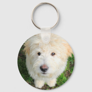 Goldendoodle Puppy Looking At Camera Key Ring