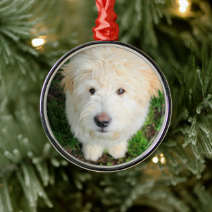 Goldendoodle Puppy Looking At Camera Metal Ornament