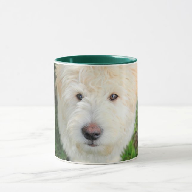 Goldendoodle Puppy Looking At Camera Mug (Center)