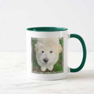 Goldendoodle Puppy Looking At Camera Mug