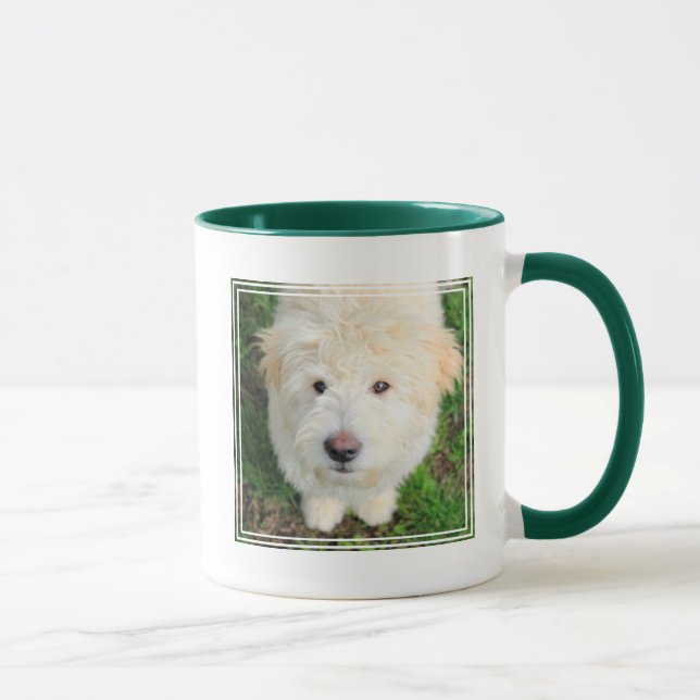 Goldendoodle Puppy Looking At Camera Mug (Right)