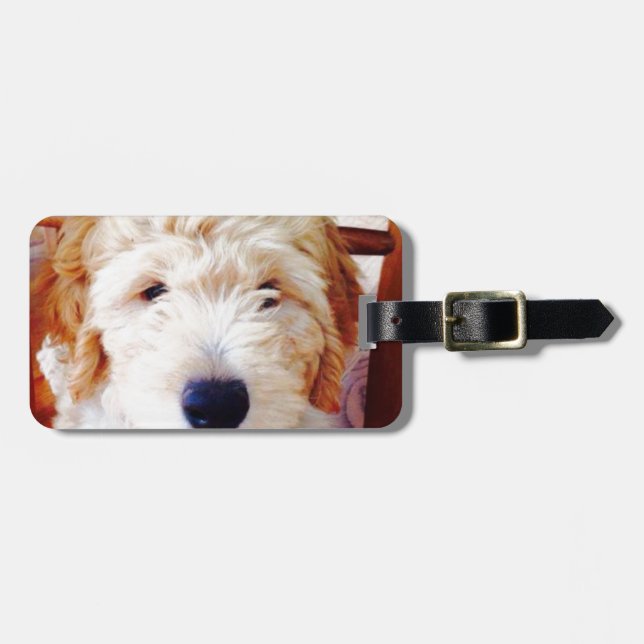 Goldendoodle Puppy Luggage Tag (Front Horizontal)