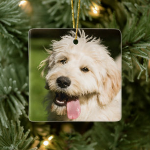 Goldendoodle Puppy Panting Ceramic Ornament