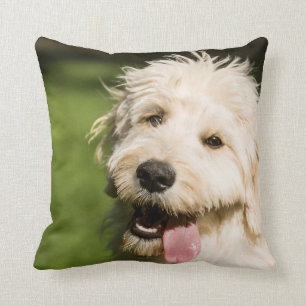 Goldendoodle Puppy Panting Cushion