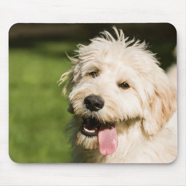Goldendoodle Puppy Panting Mouse Pad (Front)