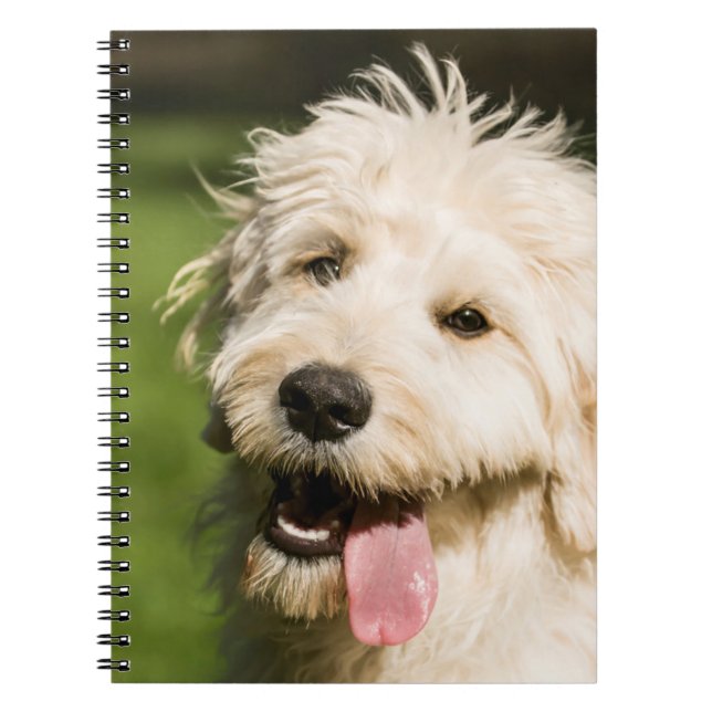 Goldendoodle Puppy Panting Notebook (Front)